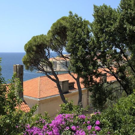 Tole Apartment Dubrovnik Exterior photo